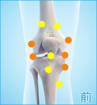膝の前側の痛み（内側側副靭帯,外側側副靭帯）