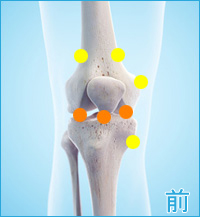膝の前側の痛み（内側側副靭帯,半月板,膝蓋靭帯）